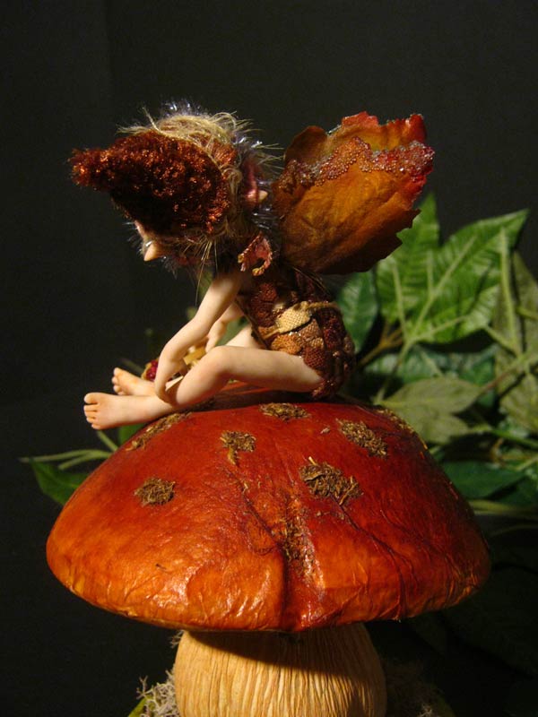 Pixie Aki sul Fungo nel Bosco delle Fragole